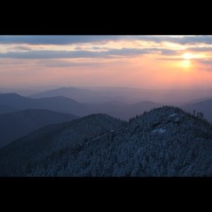 Meet your Posher, Bella